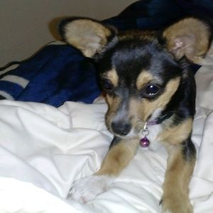 Meet your Posher, Mary ellen